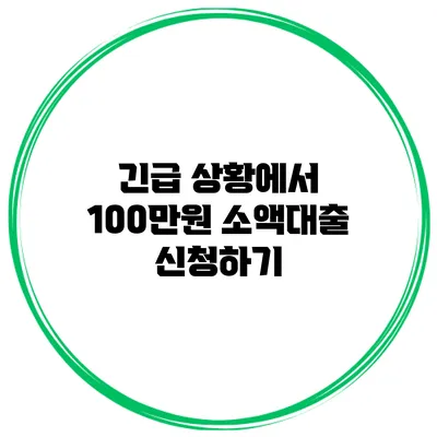 긴급 상황에서 100만원 소액대출 신청하기