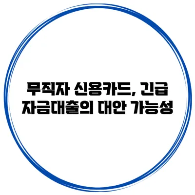 무직자 신용카드, 긴급 자금대출의 대안 가능성