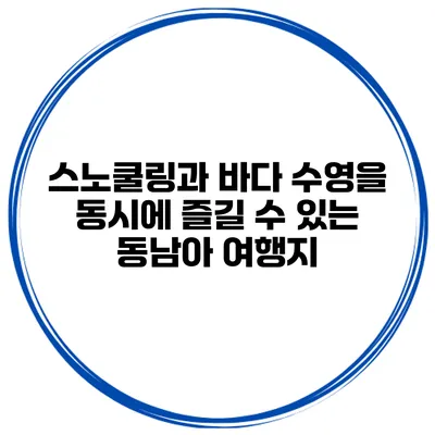 스노쿨링과 바다 수영을 동시에 즐길 수 있는 동남아 여행지