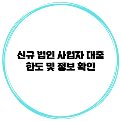 신규 법인 사업자 대출 한도 및 정보 확인