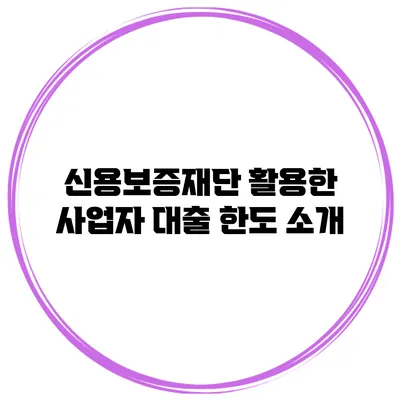 신용보증재단 활용한 사업자 대출 한도 소개
