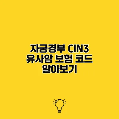 자궁경부 CIN3 유사암 보험 코드 알아보기