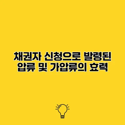 채권자 신청으로 발령된 압류 및 가압류의 효력