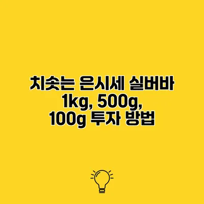 치솟는 은시세 실버바 1kg, 500g, 100g 투자 방법