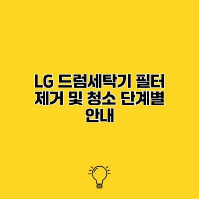 LG 드럼세탁기 필터 제거 및 청소 단계별 안내